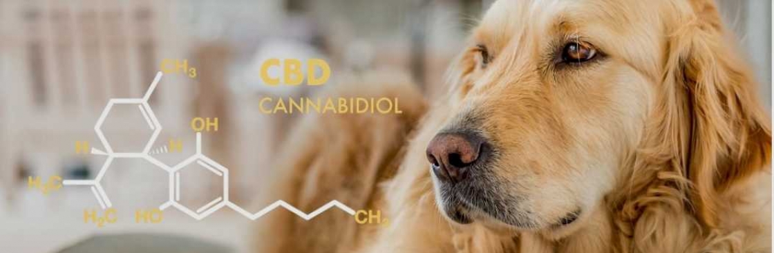 CBD Oil For Dogs Cover Image