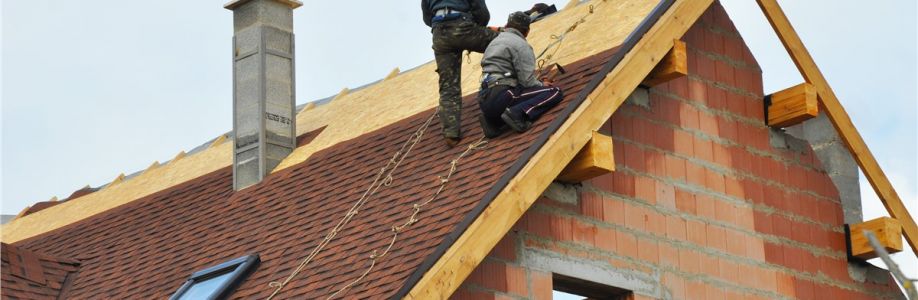 316 Roofing and Construction Cover Image