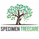 Specimen Treecare profile picture