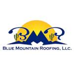 Blue Mountain Roofing Profile Picture