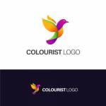 colourist logo