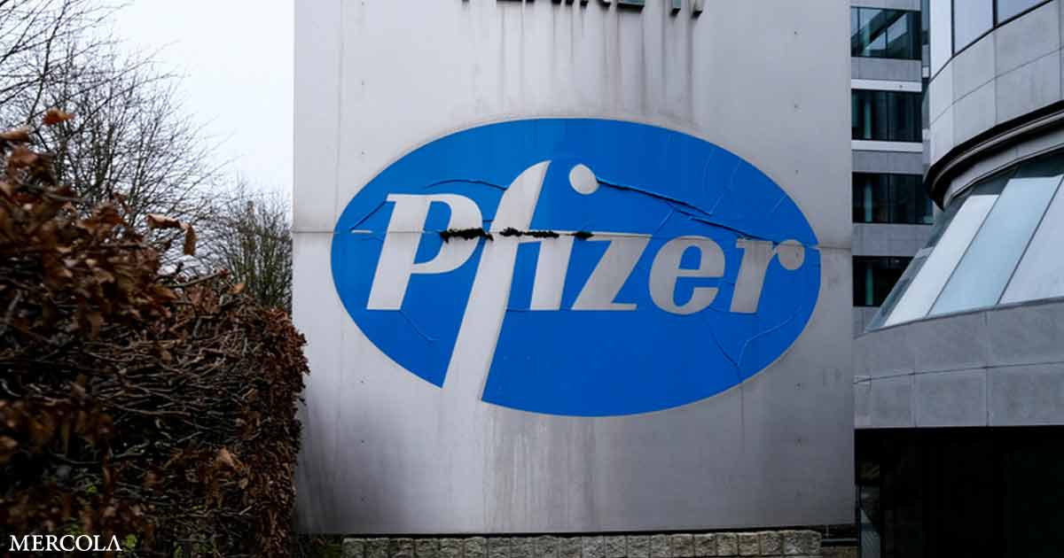Did Pfizer Commit Huge Fraud in Its COVID Vaccine Research?