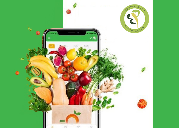 Why should we order fresh fruits and vegetables online? - Farm Fresh Products | Food Products Supplier | Supple Agro