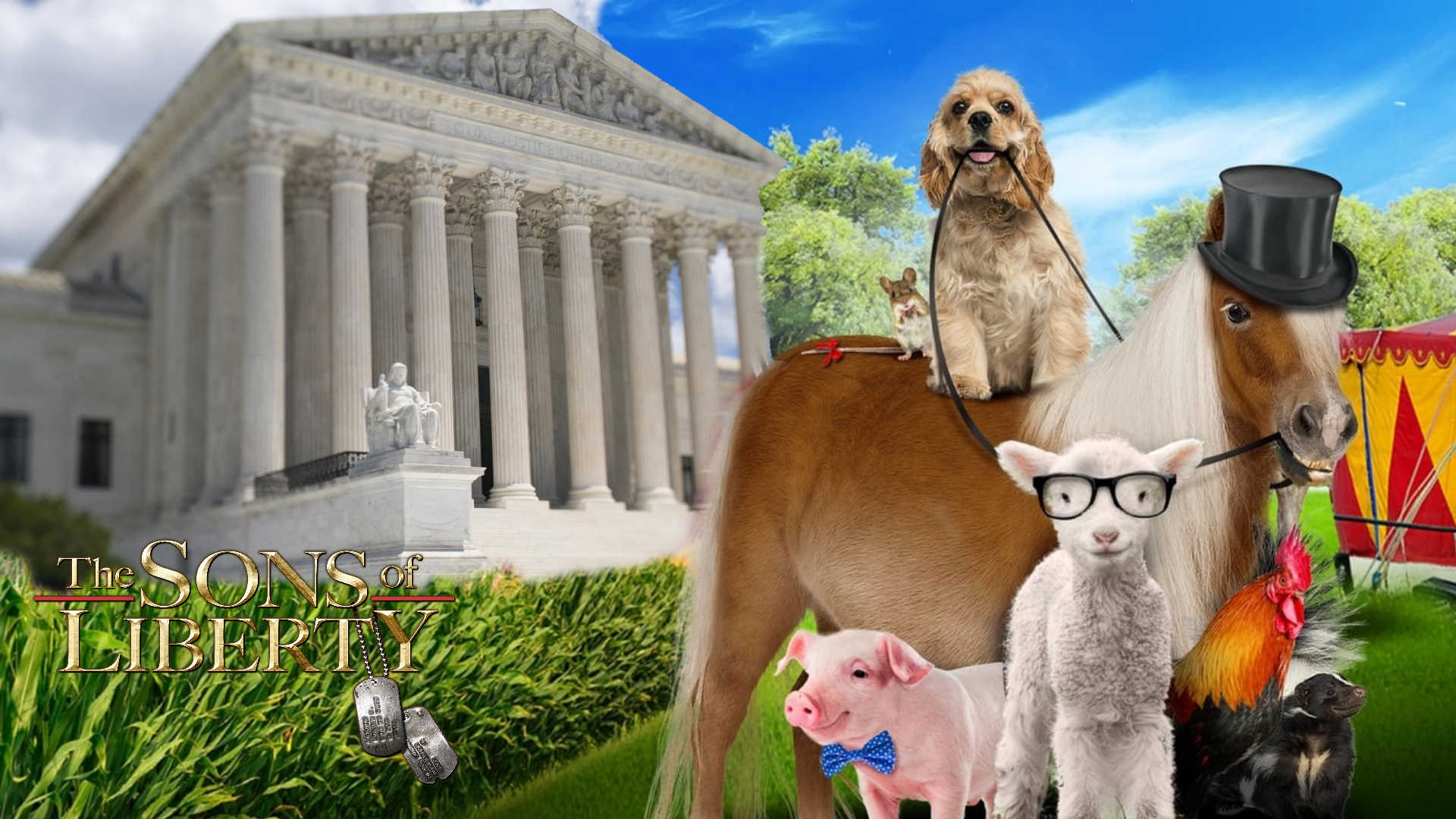 The Supreme Court's Dog & Pony Show (Video) | U. S. Politics | Before It's News