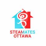 Steamates Ottawa Profile Picture