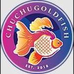 ChuChu Goldfish