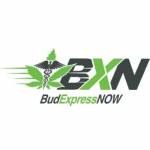 BudExpress NOW Profile Picture