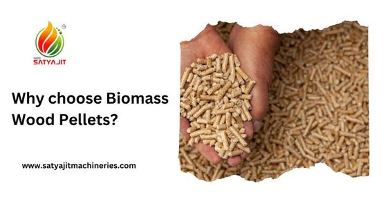 Why choose Biomass Wood Pellets? — Satyajit Renewable Engineering Pvt Ltd