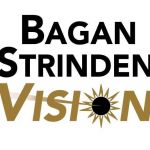 Bagan Strinden Vision profile picture