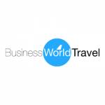 Business World Travel profile picture