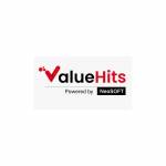 ValueHits Digital Marketing Profile Picture