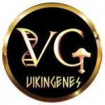 Vikin genes Profile Picture