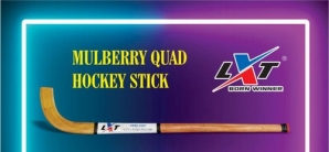 Roller Hockey Sticks Manufacturers in Pune,Hockey Sticks Suppliers Importers Maharashtra