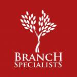 Branch Specialists Tree Service Buffalo NY profile picture