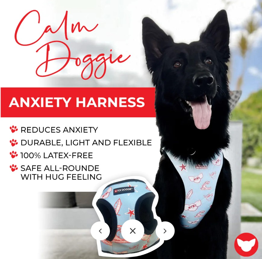 Purchase The Best Anxiety Harness for Dogs - toydoggiebrand | pets, Animals, Cats, Dogs | Vingle, Interest Network