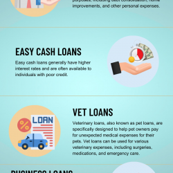Understanding the Different Types of Loans Available | Visual.ly